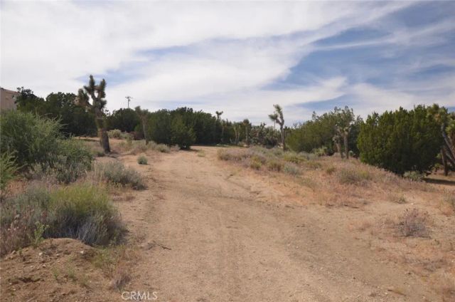 0 Longview & Old Homestead, Juniper Hills, CA 93543