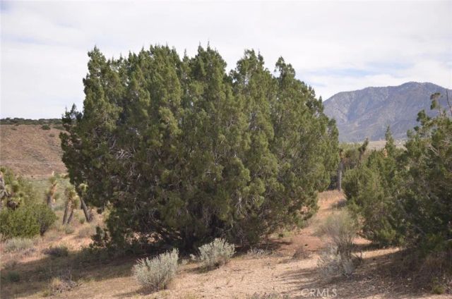 0 Longview & Old Homestead, Juniper Hills, CA 93543