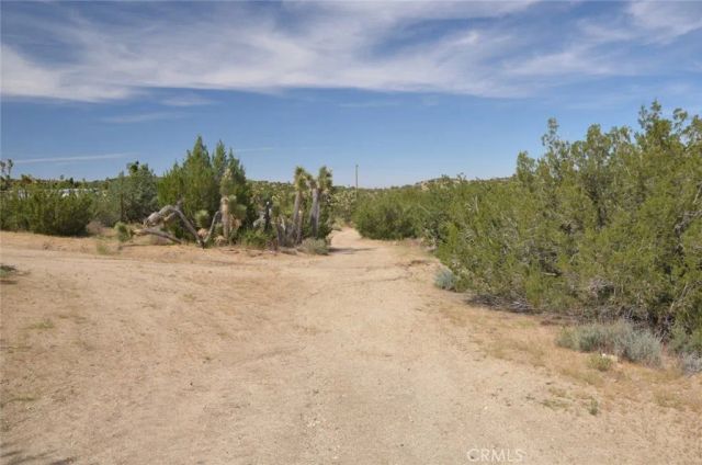 0 Longview & Old Homestead, Juniper Hills, CA 93543
