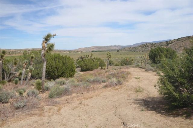0 Longview & Old Homestead, Juniper Hills, CA 93543