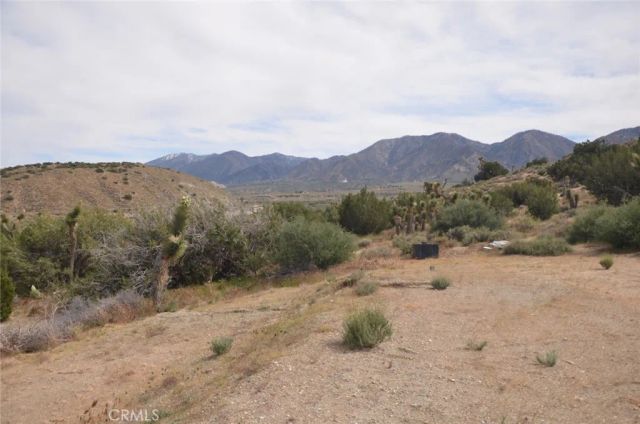 0 Longview & Old Homestead, Juniper Hills, CA 93543