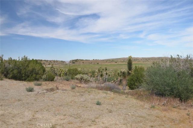 0 Longview & Old Homestead, Juniper Hills, CA 93543