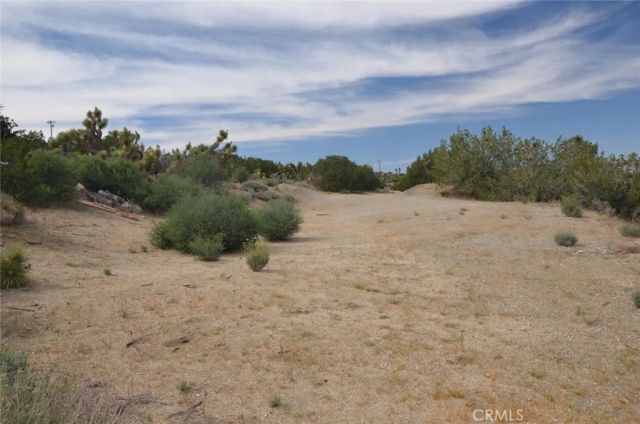 0 Longview & Old Homestead, Juniper Hills, CA 93543