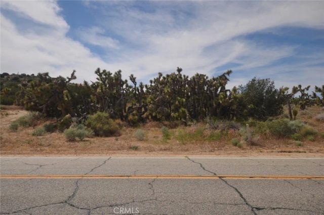 0 Longview & Old Homestead, Juniper Hills, CA 93543