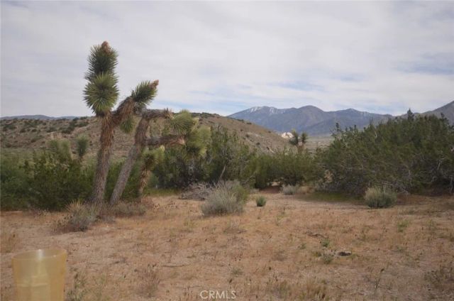 0 Longview & Old Homestead, Juniper Hills, CA 93543