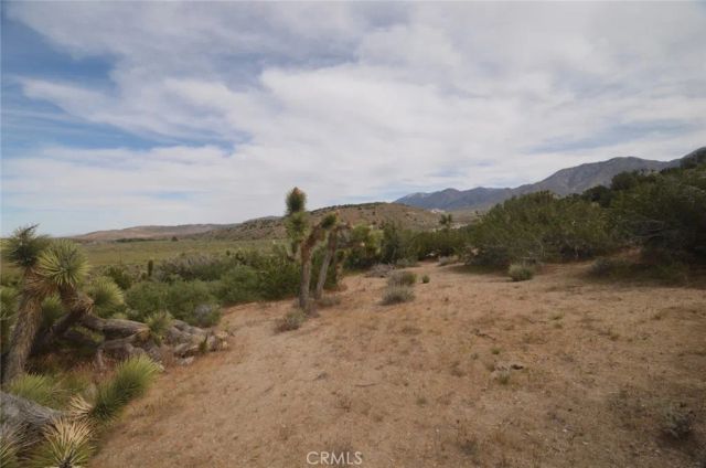 0 Longview & Old Homestead, Juniper Hills, CA 93543