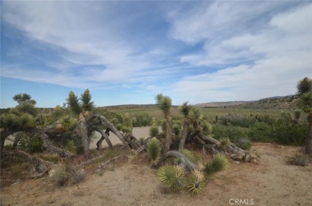 0 Longview & Old Homestead, Juniper Hills, CA 93543
