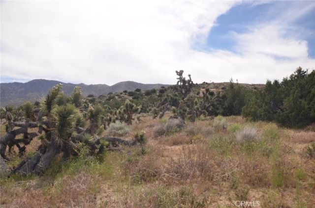 0 Longview & Old Homestead, Juniper Hills, CA 93543