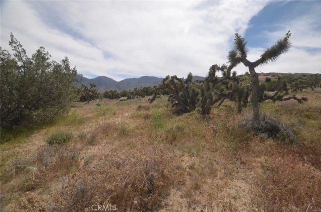 0 Longview & Old Homestead, Juniper Hills, CA 93543