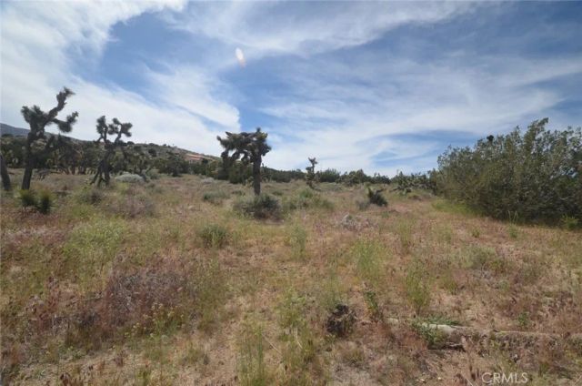 0 Longview & Old Homestead, Juniper Hills, CA 93543