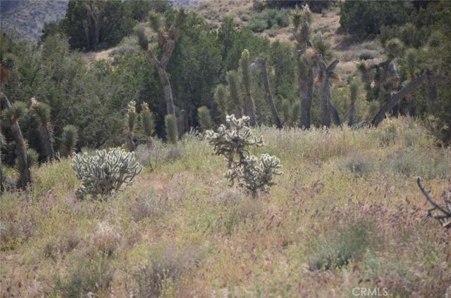 0 Longview & Old Homestead, Juniper Hills, CA 93543