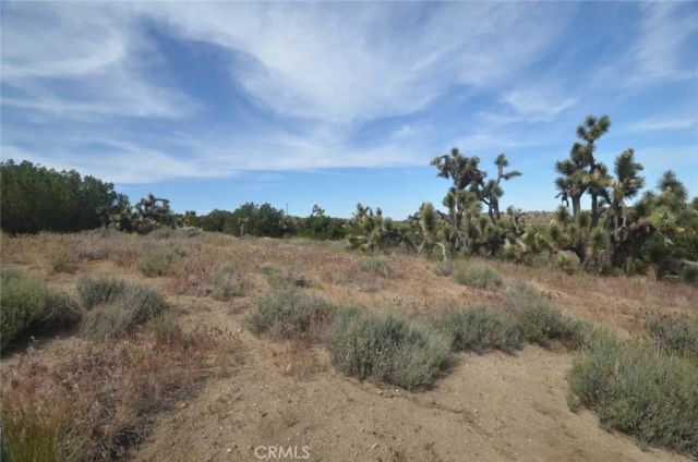 0 Longview & Old Homestead, Juniper Hills, CA 93543