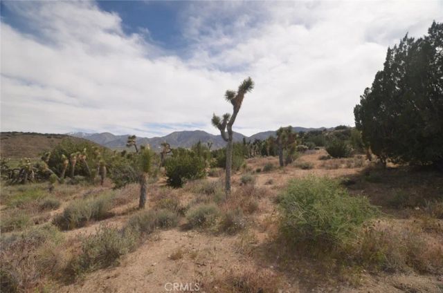 0 Longview & Old Homestead, Juniper Hills, CA 93543
