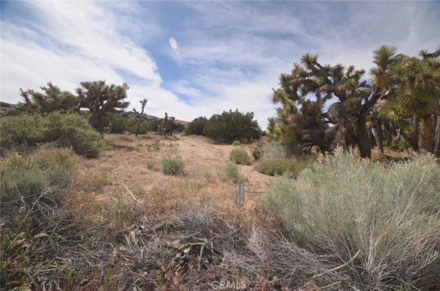0 Longview & Old Homestead, Juniper Hills, CA 93543