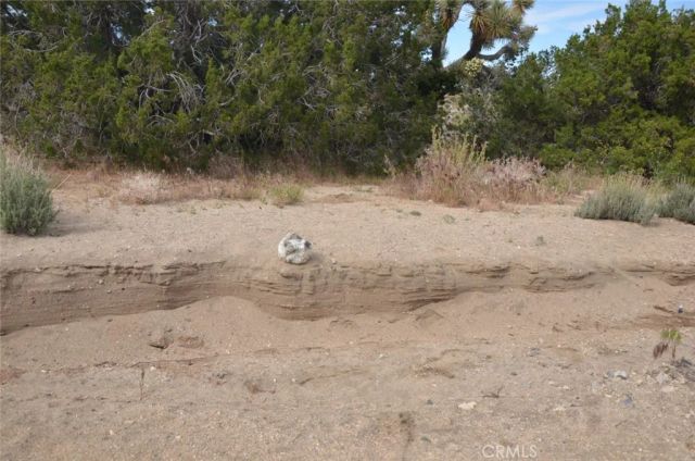 0 Longview & Old Homestead, Juniper Hills, CA 93543