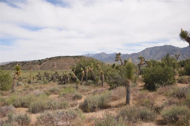 0 Longview & Old Homestead, Juniper Hills, CA 93543