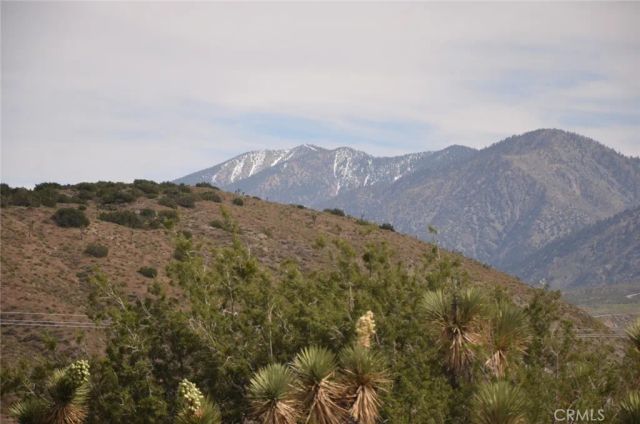0 Longview & Old Homestead, Juniper Hills, CA 93543