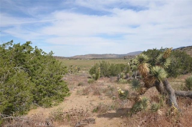 0 Longview & Old Homestead, Juniper Hills, CA 93543