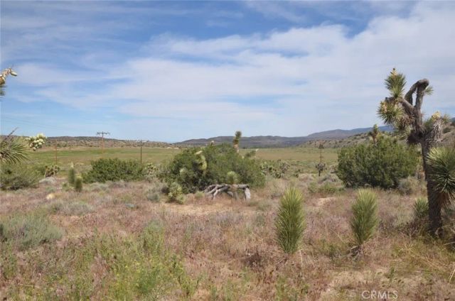 0 Longview & Old Homestead, Juniper Hills, CA 93543