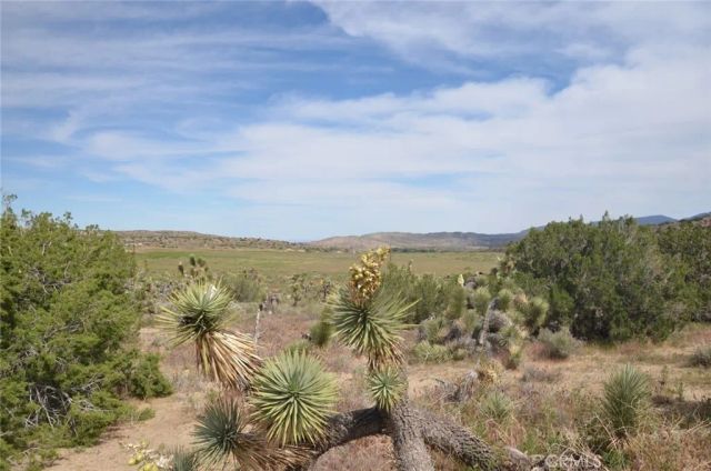 0 Longview & Old Homestead, Juniper Hills, CA 93543