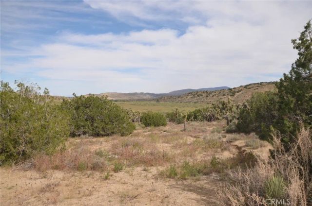 0 Longview & Old Homestead, Juniper Hills, CA 93543