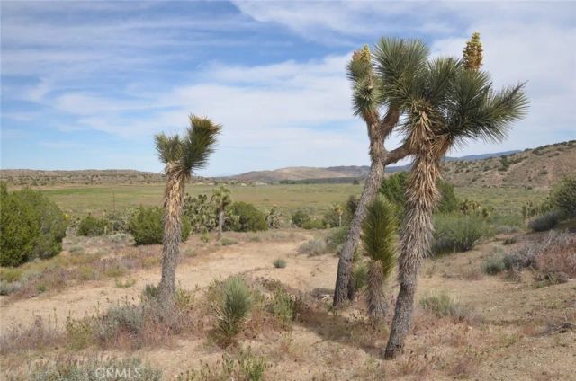 0 Longview & Old Homestead, Juniper Hills, CA 93543