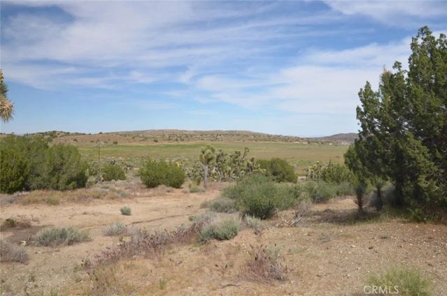 0 Longview & Old Homestead, Juniper Hills, CA 93543