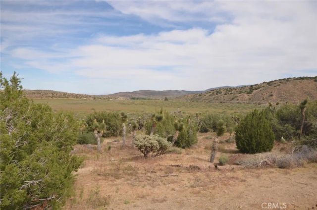 0 Longview & Old Homestead, Juniper Hills, CA 93543