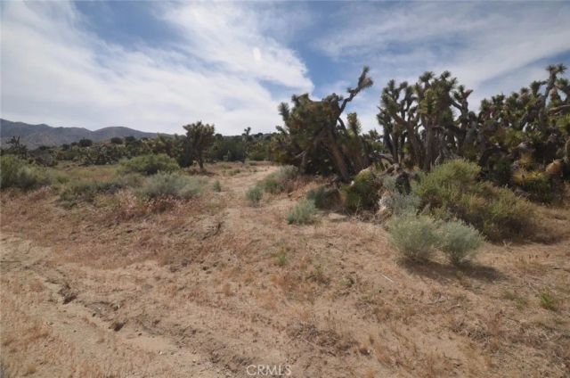 0 Longview & Old Homestead, Juniper Hills, CA 93543