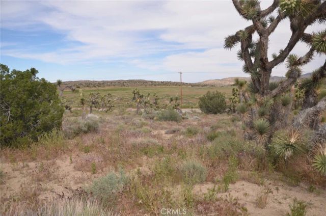 0 Longview & Old Homestead, Juniper Hills, CA 93543