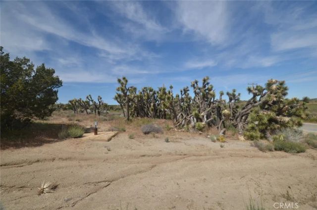 0 Longview & Old Homestead, Juniper Hills, CA 93543