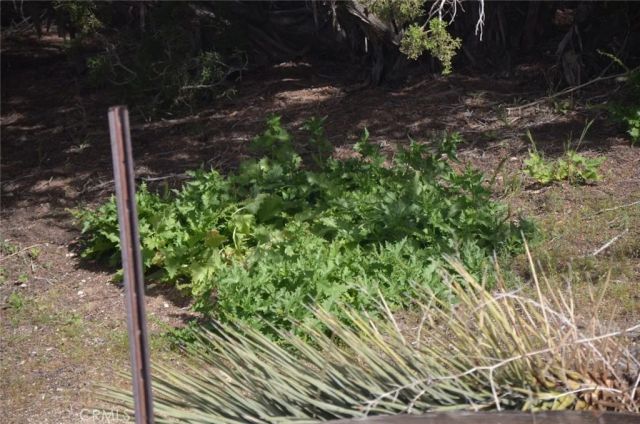 0 Longview & Old Homestead, Juniper Hills, CA 93543
