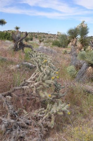 0 Longview & Old Homestead, Juniper Hills, CA 93543