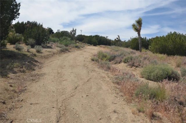 0 Longview & Old Homestead, Juniper Hills, CA 93543