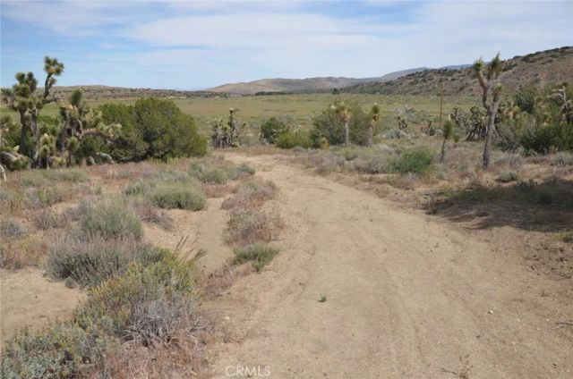 0 Longview & Old Homestead, Juniper Hills, CA 93543