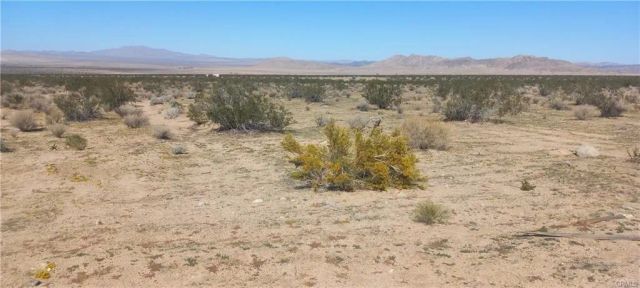 0 N Joshua Tree, Johnson Valley, CA 92285