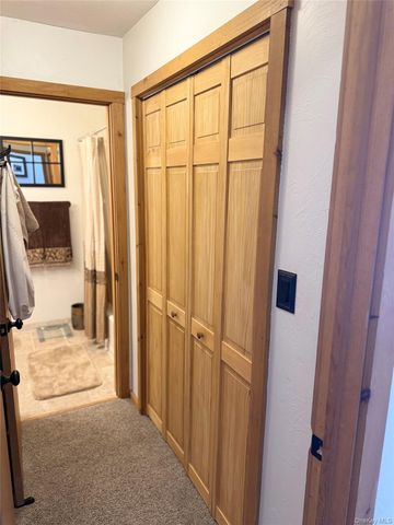 7 Quads Way, Windham, NY 12496