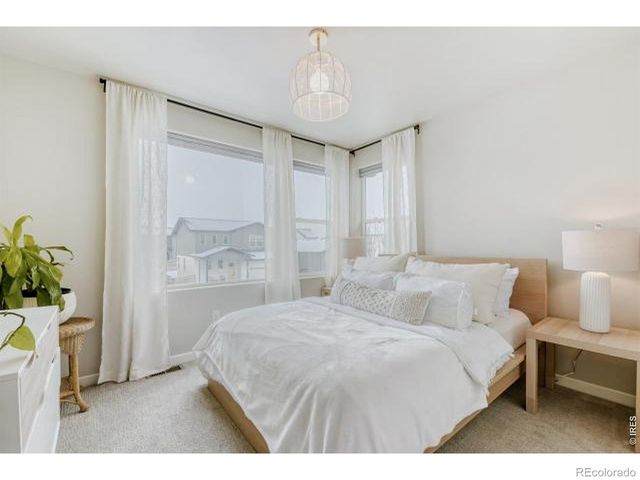 2969 Conquest Street, Fort Collins, CO 80524