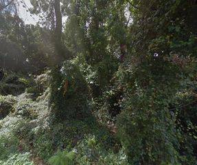Lot 12 SE 126TH LANE, Belleview, FL 34420