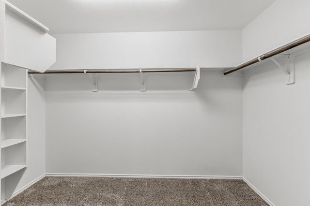 210 Doe Run Drive, Huntsville, TX 77320