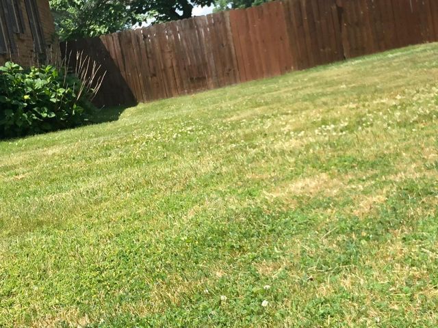 1113 Nichols Road, Kalamazoo Twp, MI 49006