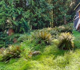 14 Woodpecker Place, Bellingham, WA 98229