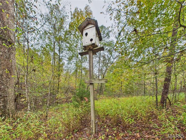 1205 Cemetery Lane, Williamsville, MO 63967