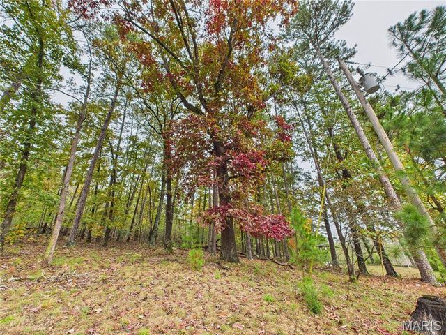 1205 Cemetery Lane, Williamsville, MO 63967