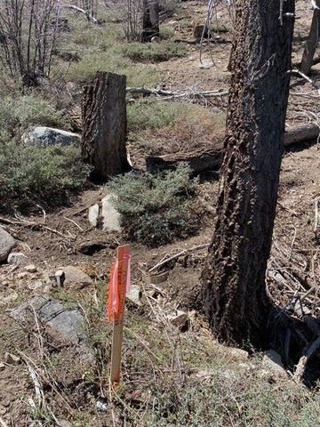 326211020 Angeles Drive, Green Valley Lake, CA 92341