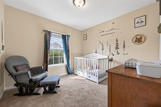 22110 Hanna Hills Drive, Hockley, TX 77447