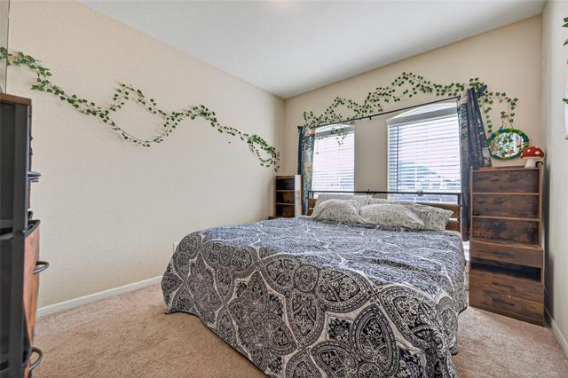 22110 Hanna Hills Drive, Hockley, TX 77447