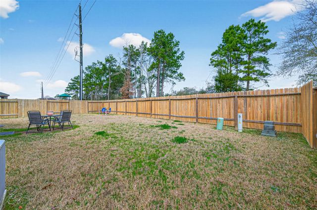 22110 Hanna Hills Drive, Hockley, TX 77447