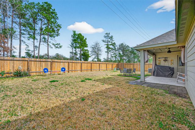 22110 Hanna Hills Drive, Hockley, TX 77447