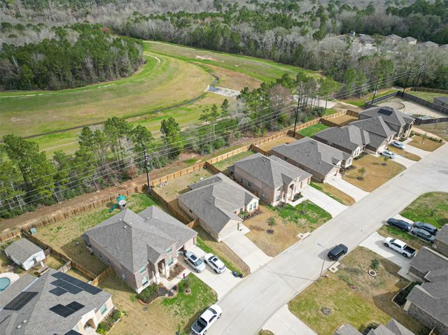 22110 Hanna Hills Drive, Hockley, TX 77447